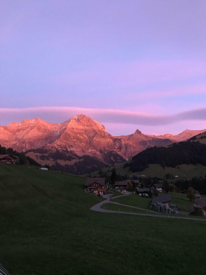Hotel Abelied Adelboden Exteriér fotografie