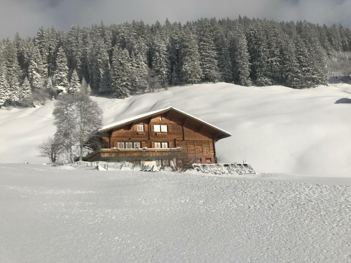 Hotel Abelied Adelboden Exteriér fotografie