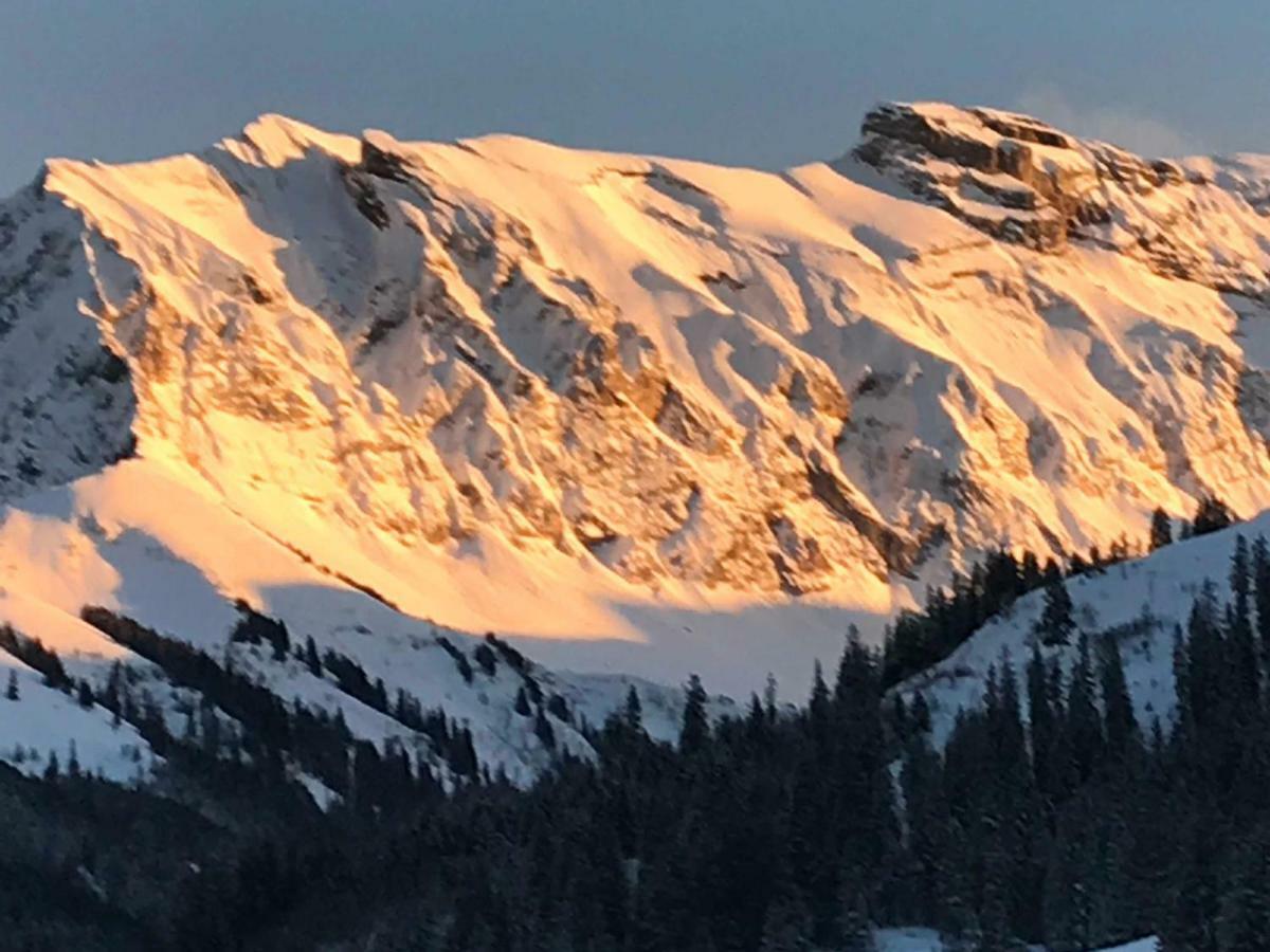 Hotel Abelied Adelboden Exteriér fotografie